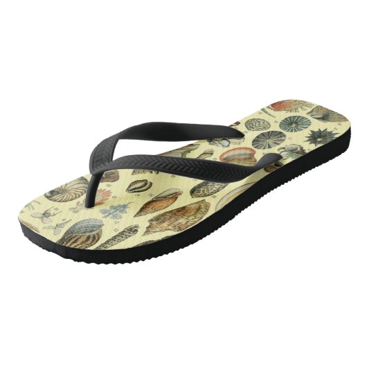 schelp schelp schelp schelp schelp elegante klassi teenslippers (Schuin)