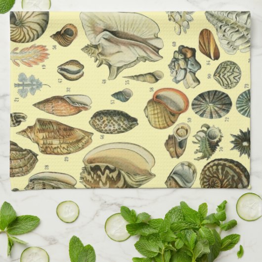 schelp schelp schelp schelp schelp elegante klassi theedoek (Gevouwen)
