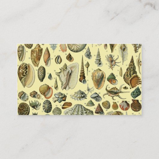 schelp schelp schelp schelp schelp elegante klassi visitekaartje (Achterkant)