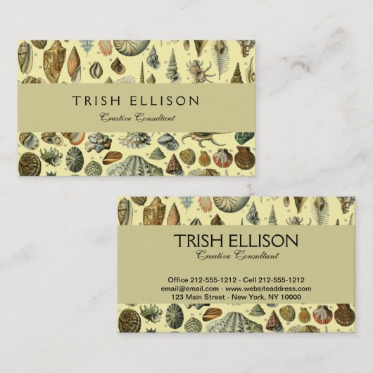 schelp schelp schelp schelp schelp elegante klassi visitekaartje (Voorkant / Achterkant)