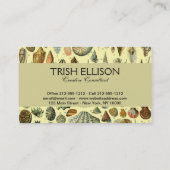 schelp schelp schelp schelp schelp elegante klassi visitekaartje (Achterkant)