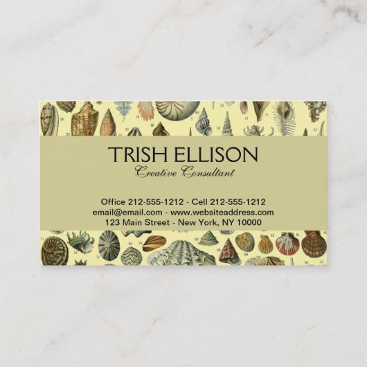 schelp schelp schelp schelp schelp elegante klassi visitekaartje (Achterkant)