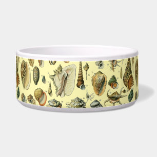 schelp schelp schelp schelp schelp elegante klassi voerbakje