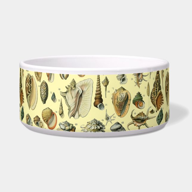 schelp schelp schelp schelp schelp elegante klassi voerbakje (Voorkant)