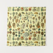 schelp schelp schelp schelp schelp elegante klassi wandkleed (Voorkant)