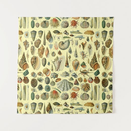 schelp schelp schelp schelp schelp elegante klassi wandkleed (Voorkant)