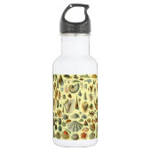 schelp schelp schelp schelp schelp elegante klassi waterfles  (Voorkant)