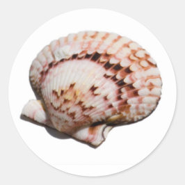 schelp-sticker ronde sticker