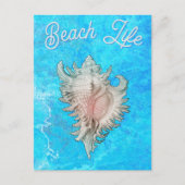 Schelp "Strandleven" Briefkaart (Voorkant)