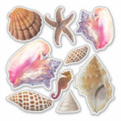 Schelp Zeeoren Zeesterren Collectie Sticker (Voorkant)