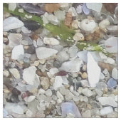 Schelpachtergrond op het strand van de oceaan stof (Close Up)