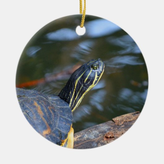 schelpdierschildpad uit de schelp keramisch ornament (Voorkant)