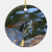 schelpdierschildpad uit de schelp keramisch ornament (Achterkant)