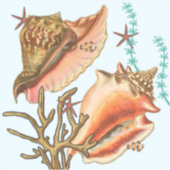 schelpdiersoorten, vinylStickers Sticker (Voorkant)