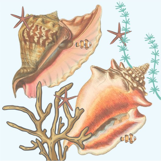 schelpdiersoorten, vinylStickers Sticker (Voorkant)