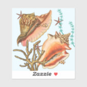 schelpdiersoorten, vinylStickers Sticker (Vel)