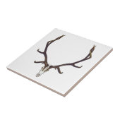 Schelpelkleur Tegeltje (Zijkant)