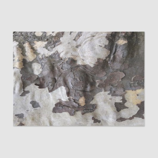 Schelpels en vellen van Sycamore Tree Tissuepapier (Voorkant)