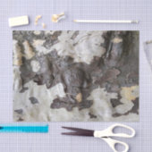 Schelpels en vellen van Sycamore Tree Tissuepapier (Craft)