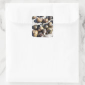 Schelpels voor vers water vierkante sticker (Tas)