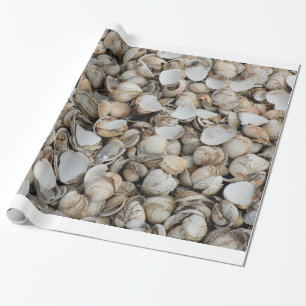 Schelpen achtergrond cadeaupapier