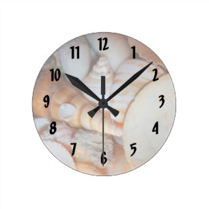 schelpen afbeelding uit florida , veel zeeschelpen ronde klok