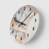 schelpen afbeelding uit florida , veel zeeschelpen ronde klok (Hoek)