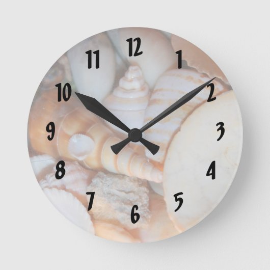 schelpen afbeelding uit florida , veel zeeschelpen ronde klok (Voorkant)