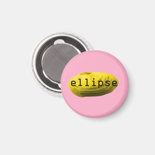 Schelpen. Ellips Magneet (Voorkant / Achterkant)