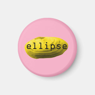 Schelpen. Ellips Magneet