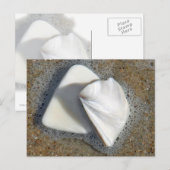 Schelpen en Zand Briefkaart (Voorkant / Achterkant)