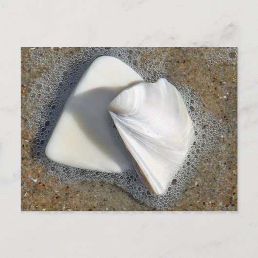 Schelpen en Zand Briefkaart (Voorkant)