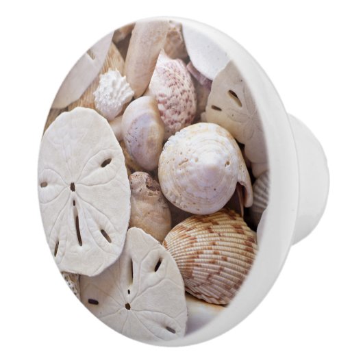 Schelpen en Zanddollar Keramische Knop (Rechts)