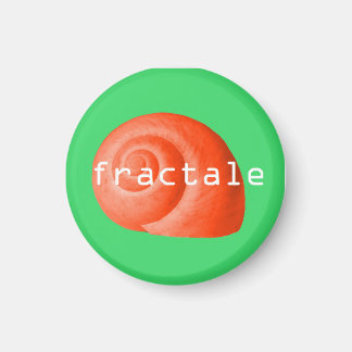 Schelpen. Fractaal Magneet