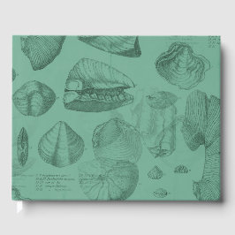 schelpen groen merrie collectie gastenboek