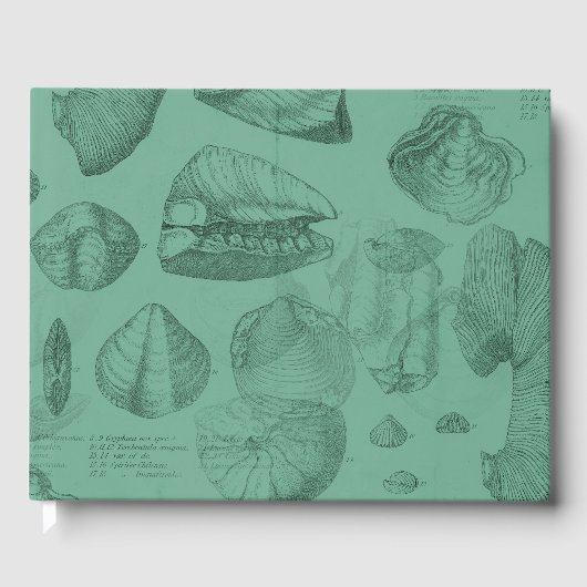 schelpen groen merrie collectie gastenboek (Voorkant)