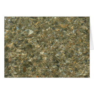 Schelpen onder rimpelend water