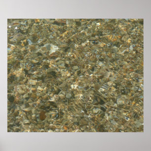 Schelpen onder rimpelend water poster