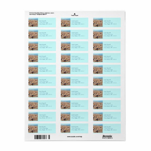 Schelpen op het strand Adresetiketten Etiket (Full Sheet)