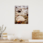 Schelpen op het strand.. Afdruk Poster (Keuken)