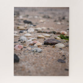 Schelpen op het strand puzzel