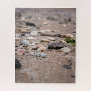 Schelpen op het strand puzzel