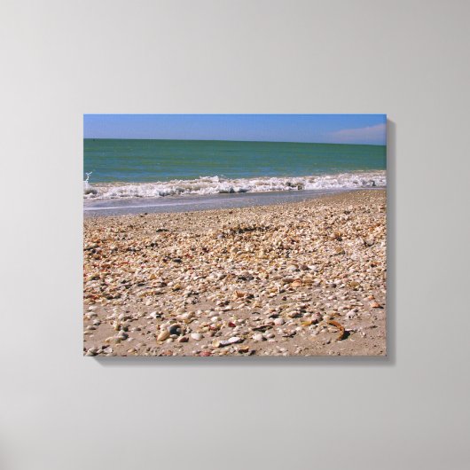 Schelpen op het strand - Sanibel Captiva Canvas Afdruk (Voorkant)