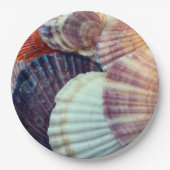 Schelpen Papieren Bord (Voorkant)