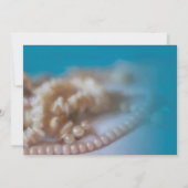 Schelpen & Parels Elegante geschilderde stranduitn Kaart (Achterkant)