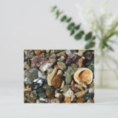 Schelpen, rotsen en koraal Natuur Fotografie Briefkaart (Staand voorkant)
