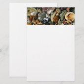 Schelpen, rotsen en koraal Natuur Fotografie Briefpapier (Voorkant / Achterkant)