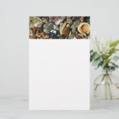 Schelpen, rotsen en koraal Natuur Fotografie Briefpapier (Staand voorkant)