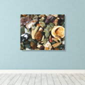 Schelpen, rotsen en koraal Natuur Fotografie Canvas Afdruk (Insitu (Houten vloer))