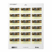 Schelpen, rotsen en koraal Natuur Fotografie Etiket (Full Sheet)